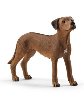 SCHLEICH 13895 RHODESIAN RIDGEBACK