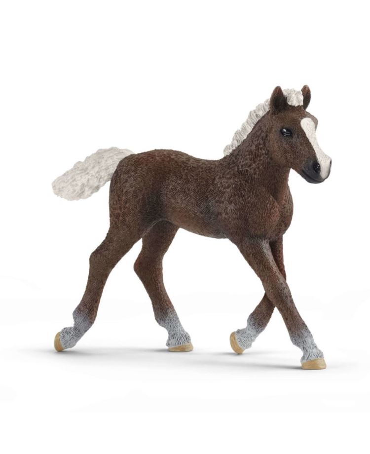 SCHLEICH 13899 KOŃ SZWEDZKI ŹREBIĘ