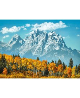 CLEMENTONI PUZZLE 500 EL.PARK NARODOWY GRAND TETO