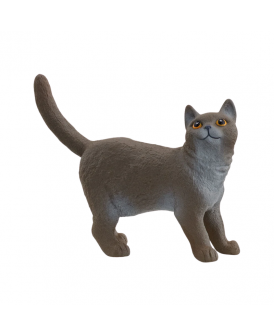 SCHLEICH 13973 KOT BRYTYJSKI KRÓTKOWŁOSY