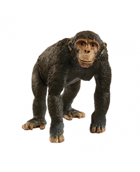 SCHLEICH 14883 SZYMPANS