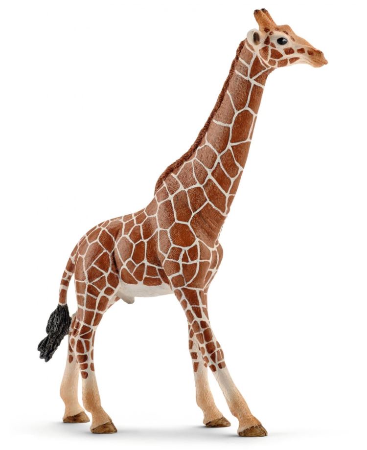 SCHLEICH 14749 SAMIEC ŻYRAFY