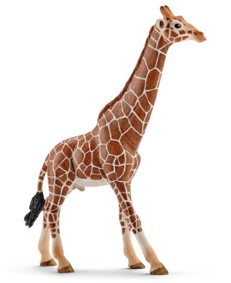 SCHLEICH 14749 SAMIEC ŻYRAFY