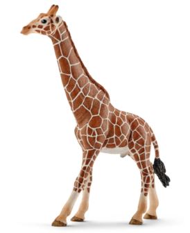 SCHLEICH 14749 SAMIEC ŻYRAFY