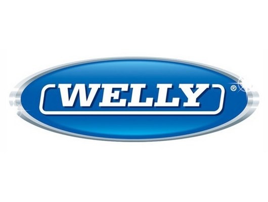 WELLY